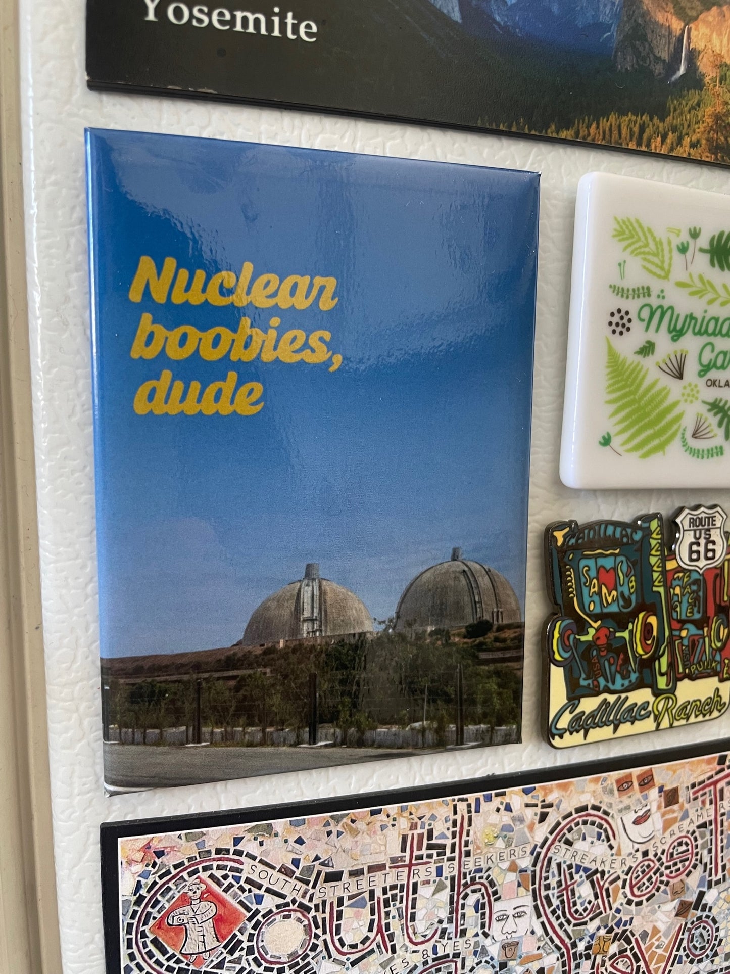 San Onofre Nuclear Power Plant Magnet