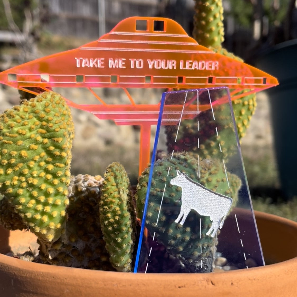 UFO & Cow Plant Stake